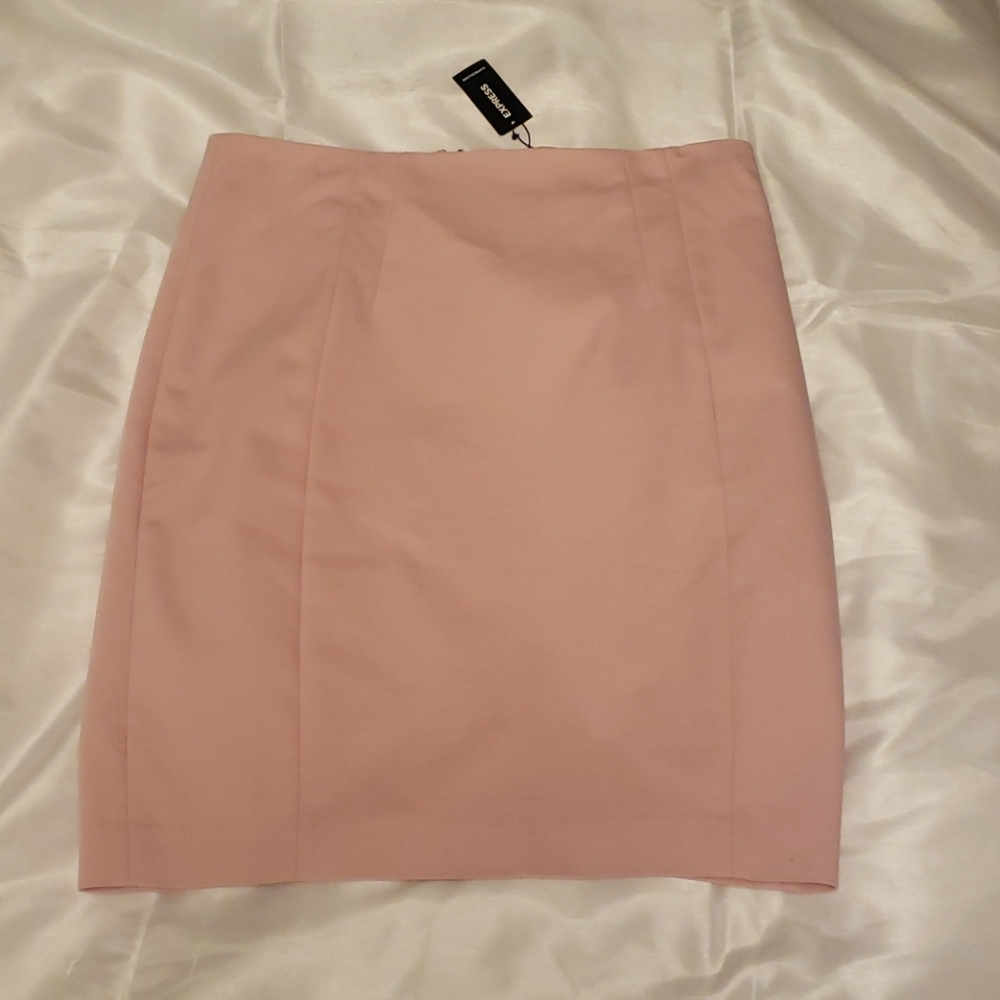 NWT Express Skirt